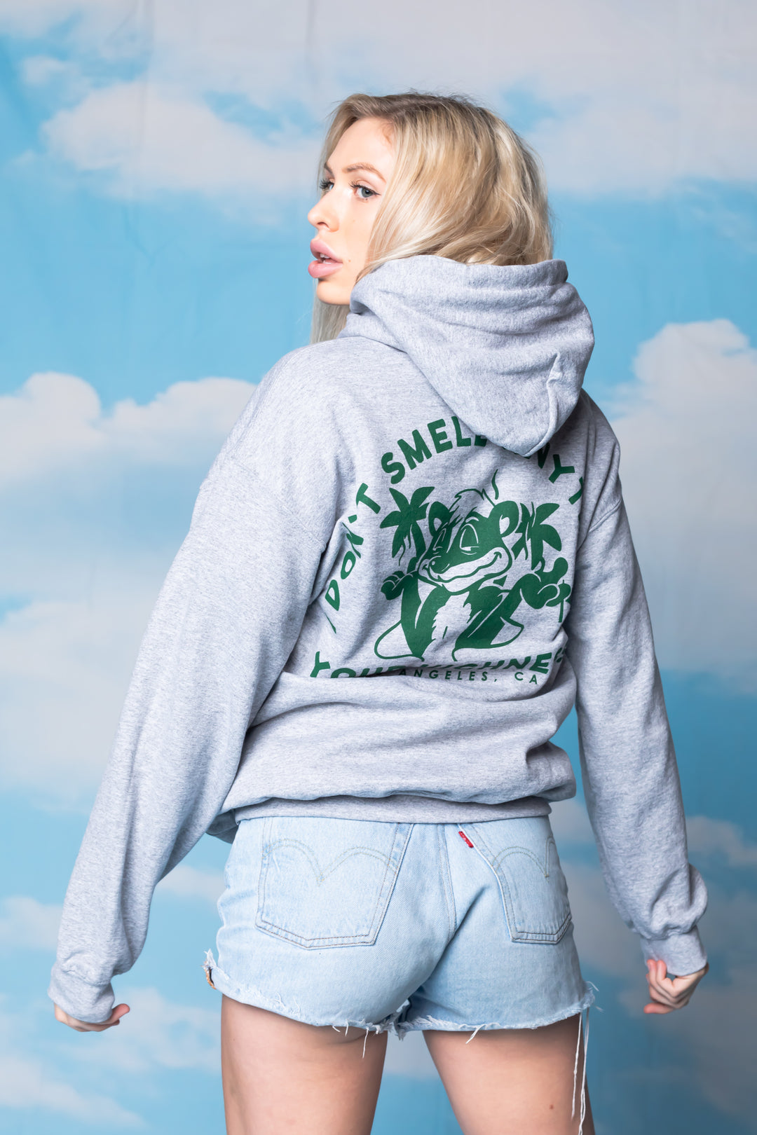 Skunk'd Hoodie Heather Grey