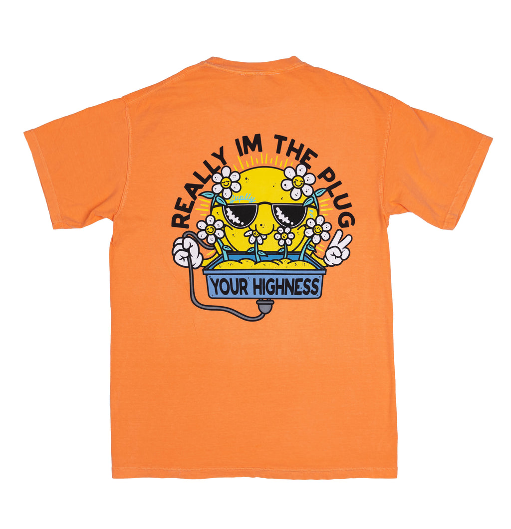 Radiation Tee Peach