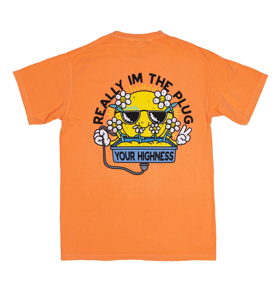 Radiation Tee Peach